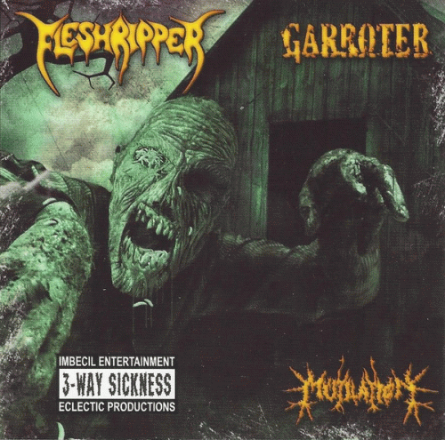 Fleshripper (UKR) : 3 Way Sickness